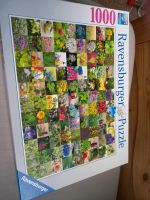 1000er Puzzle Dithmarschen - Buesum Vorschau
