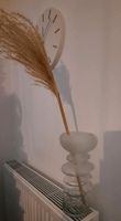 Vase pampasgras transparent milchig Nordrhein-Westfalen - Hille Vorschau