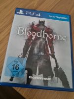 PS4 - Bloodborne Herzogtum Lauenburg - Geesthacht Vorschau