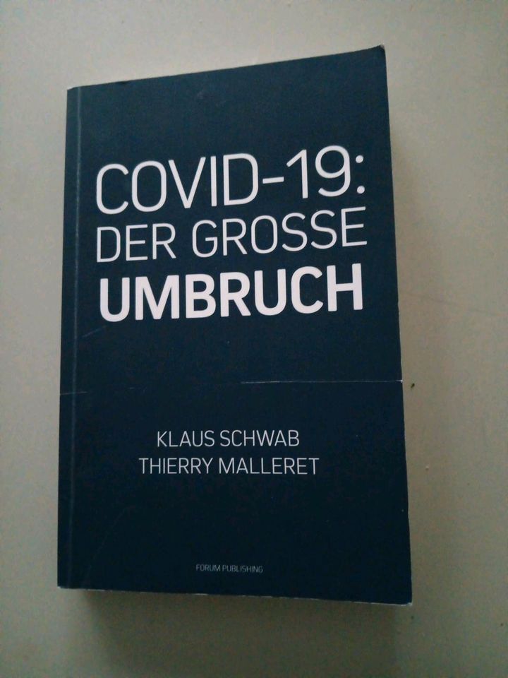 COVID-19 - Der Große Umbruch in Hamburg