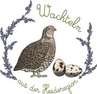 Wachtelküken Schlupf ab 2.April Jap. Legewachteln Niedersachsen - Amelinghausen Vorschau