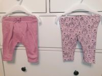 Hosen Set Paket Leggins babyclub egree Mädchen Jogger süß Niedersachsen - Lüneburg Vorschau