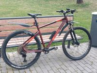 Ghost Kato Pro MTB Hardtail, 29 Zoll, Kirsche/Rot XL. 2022 Dresden - Cotta Vorschau