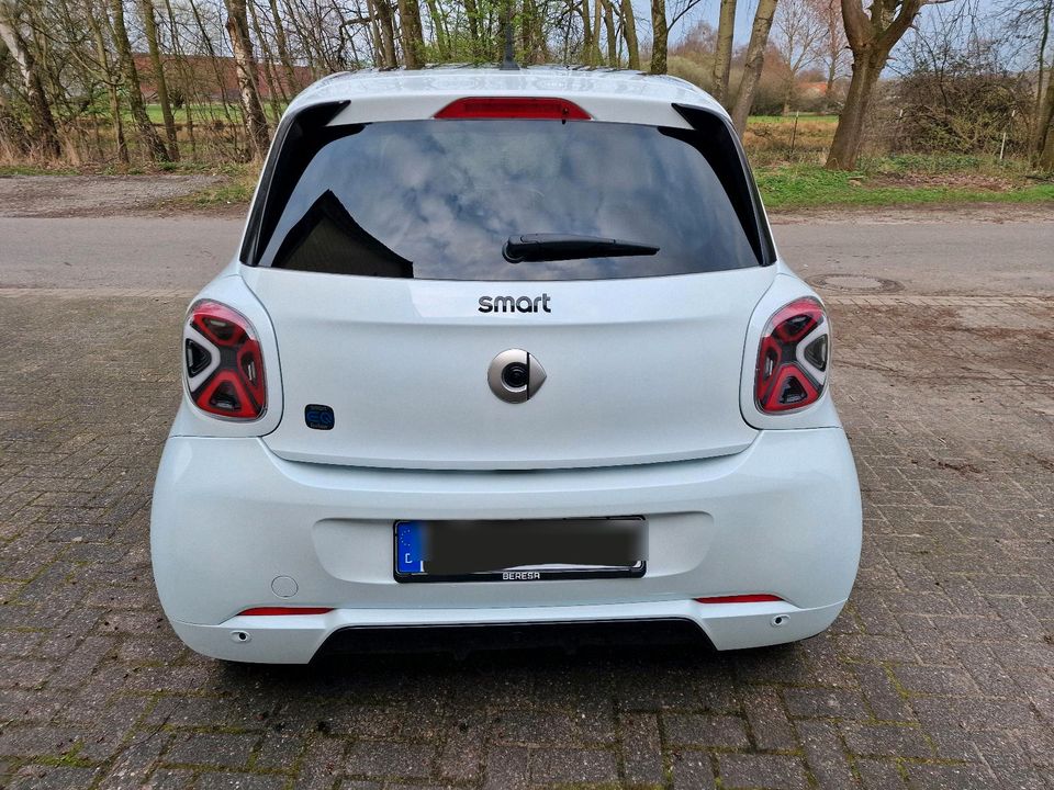 Smart EQ Forfour / Edition One in Osnabrück