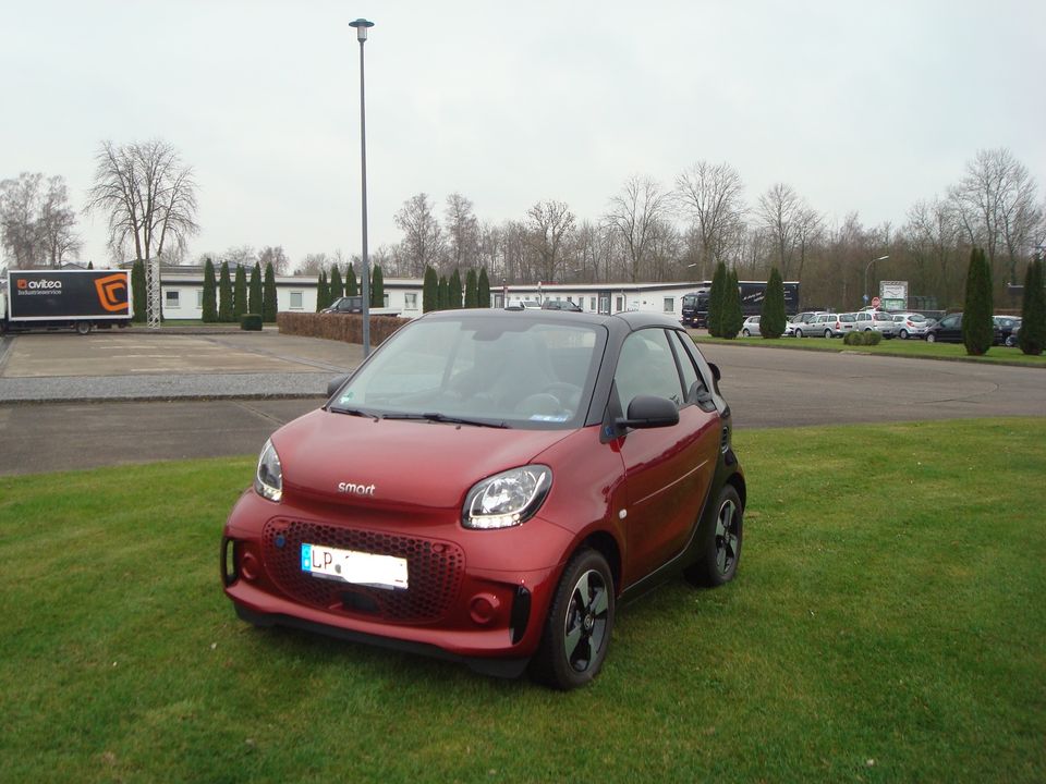 Smart EQ fortwo Cabrio, Elektro Auto in Lippstadt