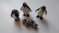 Schleich Tier Pinguin Kaiserpinguin Baden-Württemberg - Ulm Vorschau