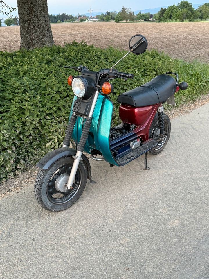 Simson SR 50 in Rheinmünster