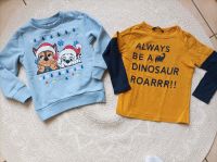 Paw Patrol Dino Pullover Oberteile Set Größe 110 Bayern - Seefeld Vorschau