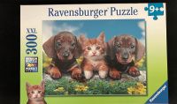 Ravensburger Puzzle Dackel und Katze 300 Teile Nordrhein-Westfalen - Neuss Vorschau