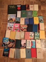 Konvolut von 46 unterschiedlichen Büchern/auch einzeln zu kaufen Bremen - Huchting Vorschau