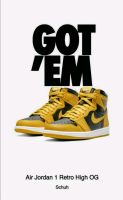 Nike Air Jordan 1 Retro OG high Pollen, US 15 Brandenburg - Storkow (Mark) Vorschau