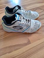 Donic Waldner Flex III neuwertig Tischtennisschuhe 38 Hallenschuh Sachsen - Wilsdruff Vorschau