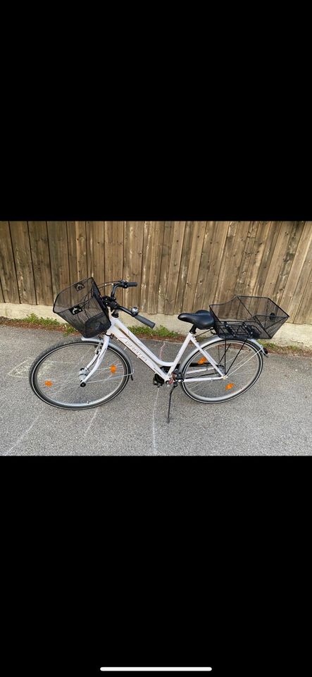 Damenfahrrad 28 Zoll in Friedberg