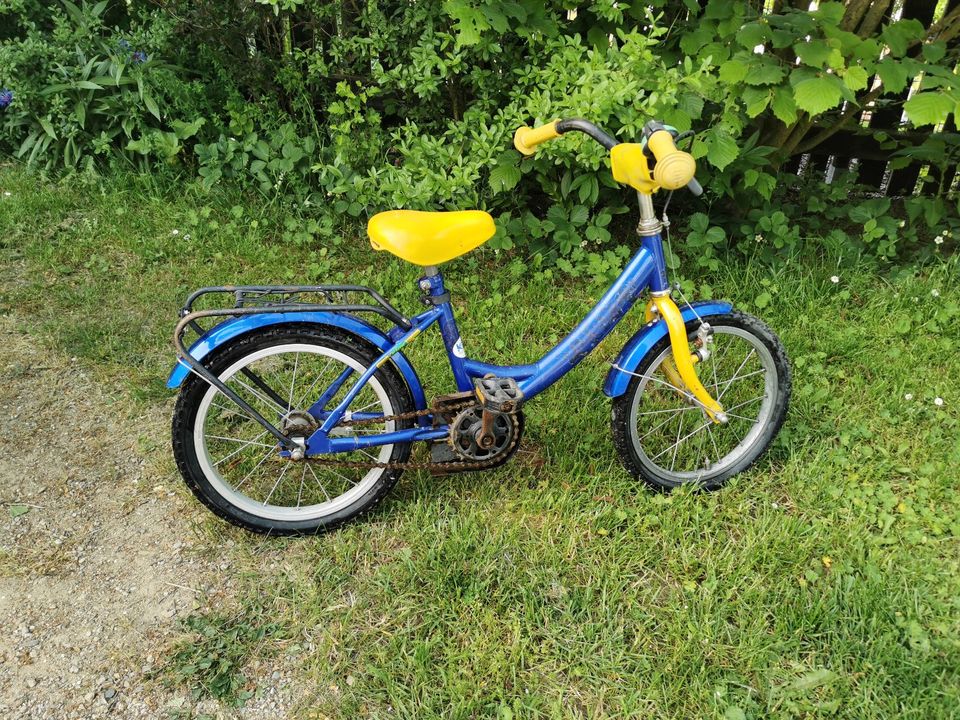 Kinderfahrrad in Blankenberg (Thür)