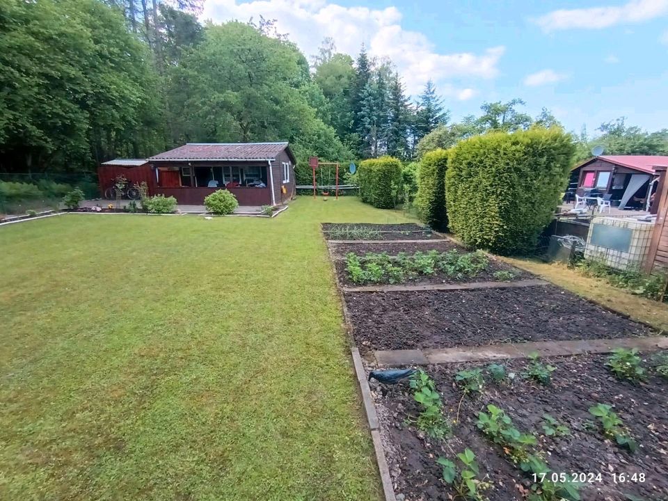 Ich verkaufe meine kleine Garten in Schwarzenbek in Schwarzenbek