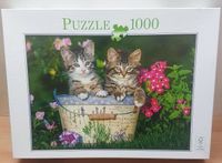 1000 Teile Puzzle Kätzchen Katzen Eimer Made in Germany Hessen - Bad Homburg Vorschau