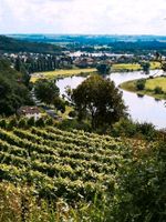 Wandergruppe Ü 45  Freizeitpartner  wandern Schlösser Sachsen Sachsen - Lommatzsch Vorschau