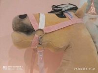 Hobby horse Zubehör Trense mit zügeln pink Niedersachsen - Bienenbüttel Vorschau