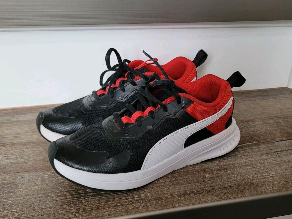 Puma  Evolve Run Mesh Sneakers Gr. 36 non-marking in Schönebeck (Elbe)