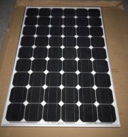 Solarmodul 130w Photovoltaik Solar Modul Panel Solarpanel PV Nordrhein-Westfalen - Hörstel Vorschau