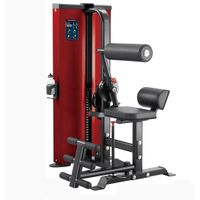 Steelflex ClubLine CL2AB Bauch- & Rückenmaschine -FIBO-Aussteller Bochum - Bochum-Wattenscheid Vorschau