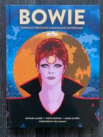 Michael Allred BOWIE Graphic Novel US Oversize HARDCOVER Pankow - Prenzlauer Berg Vorschau