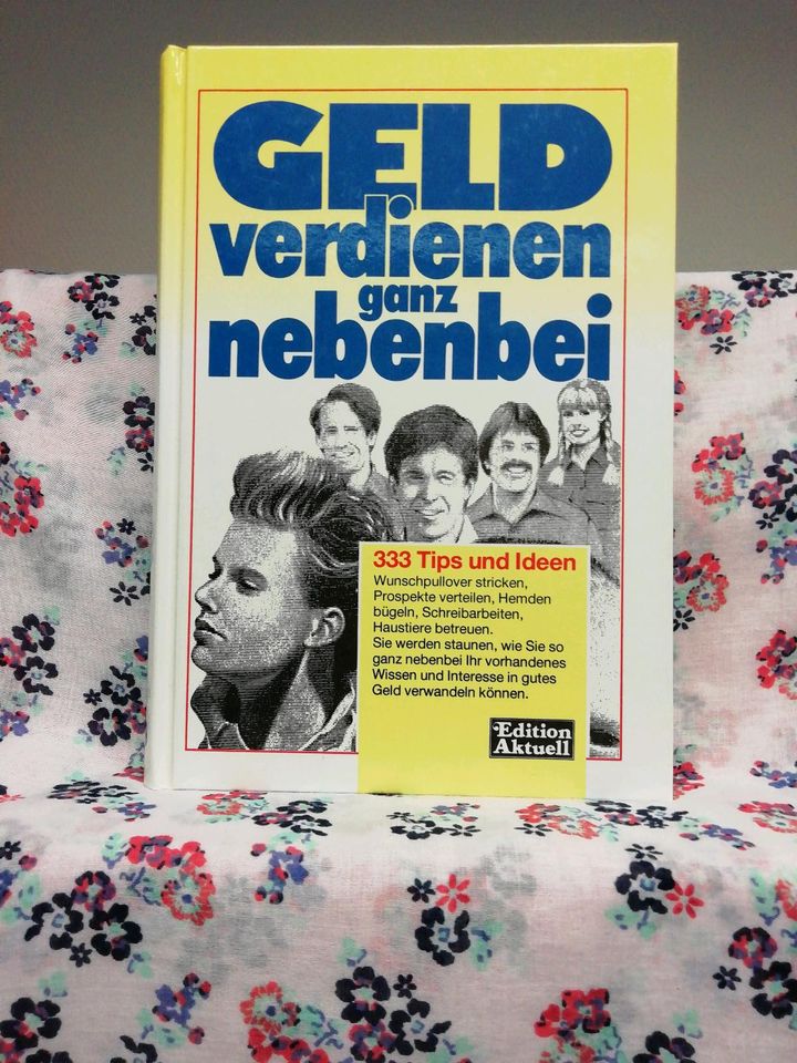 Geld verdienen ganz nebenbei 333 Tips und Ideen von Helga Thamm u in Flintbek