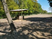 Pony Offenstallplatz Brandenburg - Zeschdorf Vorschau