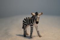 Schleich Zebra Fohlen Nordrhein-Westfalen - Rheda-Wiedenbrück Vorschau