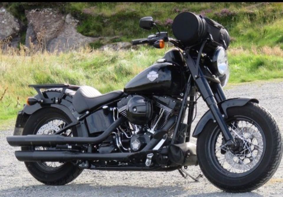 Harley Fat Boy und Slim abnehmbarer Gabel in Runkel