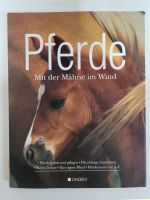 Pferde – Mit der Mähne im Wind – LINGEN Mecklenburg-Vorpommern - Klein Trebbow Vorschau