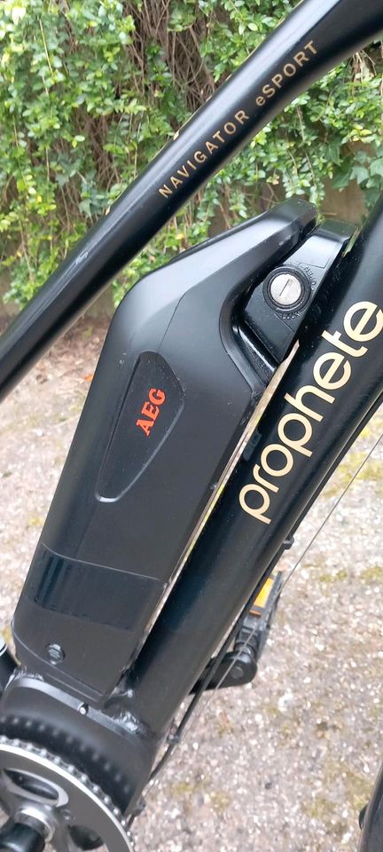 E-Bike Prophete Navigator eSport in Winnenden