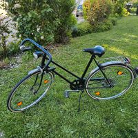 Sport Fahrrad 28 Zoll Rheinland-Pfalz - Speyer Vorschau