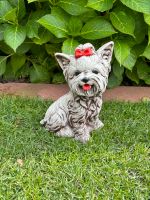 Kostenloser Versand Steinfigur Hund Yorkshire Terrier Dekoration Schleswig-Holstein - Erfde Vorschau