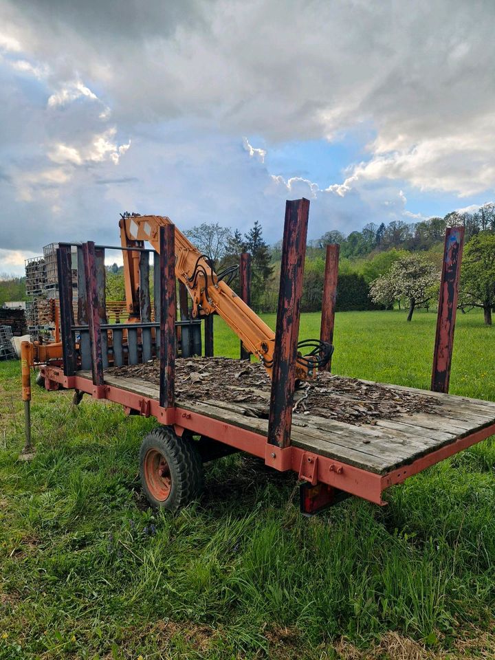 Rückewagen Traktor Anhänger Forstkran Eigenbau Brennholz in Mössingen