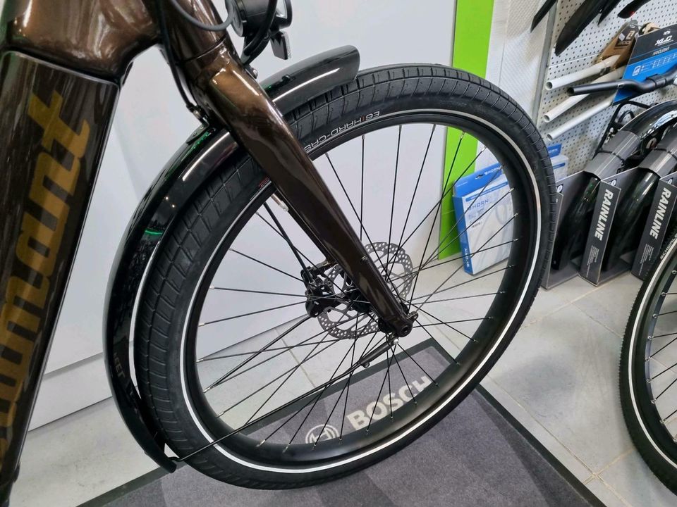 Diamant Opal Esprit+ Bosch CX 625Wh NuVinci E-Bike Pedelec in Bottrop