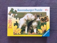 Puzzle 2x20 Teile Ravensburger® Hunde Katze Müritz - Landkreis - Waren (Müritz) Vorschau