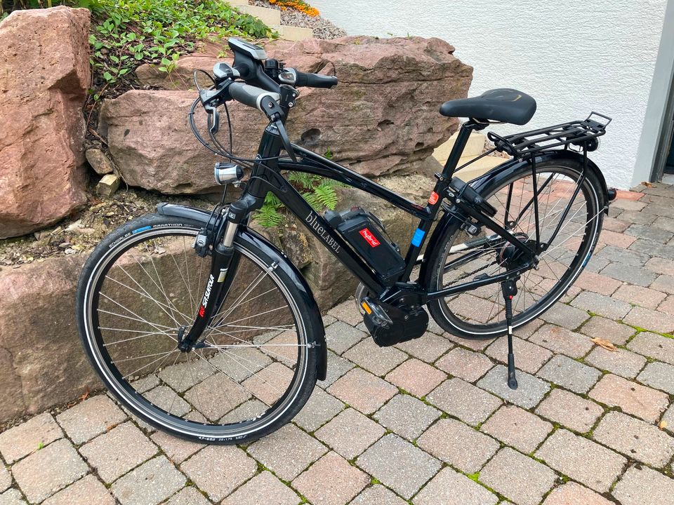 Riese und Müller Blue Label Cruiser, NuVinci-Schaltung in Weil der Stadt