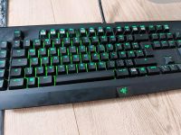 Razer Blackwidow Tastatur Brandenburg - Beelitz Vorschau