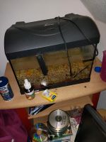 Ich verkaufe ein 30 Liter Aquarium  ohne Heizung und Pumpe Niedersachsen - Rechtsupweg Vorschau