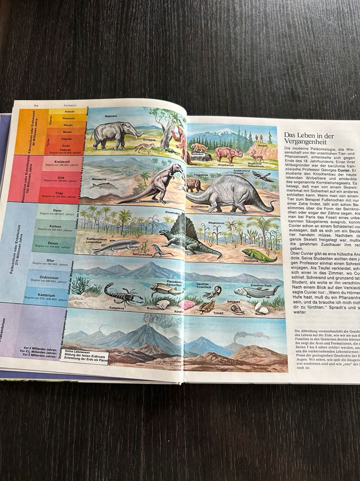 Was ist Was Buch Band 38 Prähistorische Säugetiere - Kinder in Lüchow