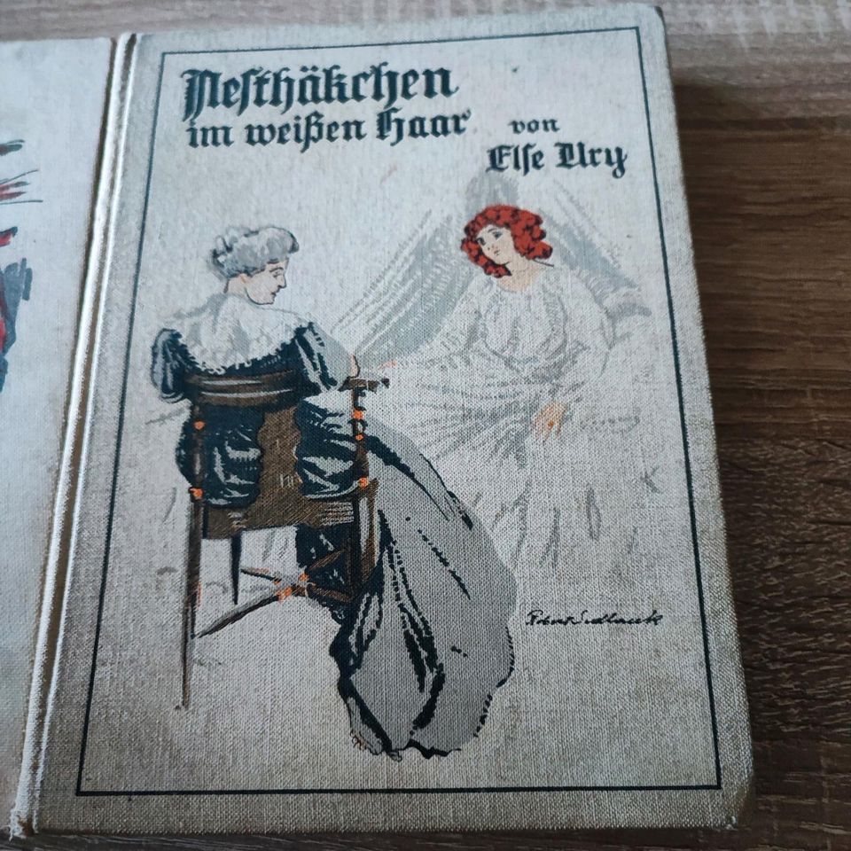 Nesthäckchen v. Else Ury 20er Jahre 3 Bände in Hohenlockstedt