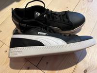 Schuhe Puma Gr. 40 neuwertig Nordrhein-Westfalen - Rietberg Vorschau