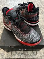 Nike LeBron NXXT Wandsbek - Hamburg Tonndorf Vorschau