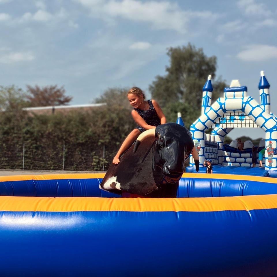 Bullriding mieten! Lieferung im Umkreis inklusive! in Leichlingen