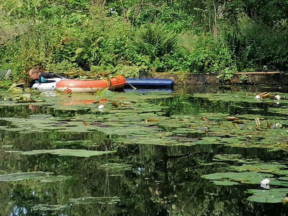 Gartenarbeiten, Gartenpflege, Gartengestaltung in Hamburg