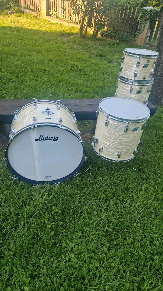 Ludwig classic maple in München