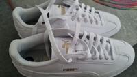 Puma sneaker Dortmund - Innenstadt-Nord Vorschau