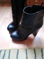 Frauenschuhe Hessen - Grasellenbach Vorschau