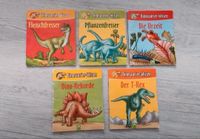 5 Mini Bücher wie Pixi Hefte Dinosaurier Wissen T-Rex Pflanzenfre Niedersachsen - Giesen Vorschau